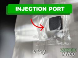 3x IT'S MAGIC Mushroom Grow Bag 5lb