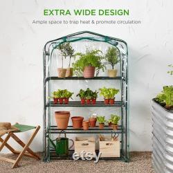 40in Wide 4-Tier Mini Greenhouse, Portable Indoor Outdoor Arboretum for Patio, Backyard, Nursery, Home Growing Steel Shelves, Plastic Cover