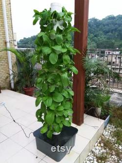 48 Pots Vertical Hydroponics Tower Set Hydroponic Growing System Home Gardening Hydroponic Growing Tower