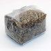 4lb. Colonized Bag Of Sterilized Rye Berrie Grain Spawn