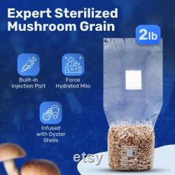 4 Pack All-in-One Mushroom Grow Kit 6 lb Grow-in-bag Kit 2 lb Sterile Grain Bag with Injection Port and 4 lb CVG Bulk Substrate