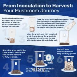 4 Pack All-in-One Mushroom Grow Kit 6 lb Grow-in-bag Kit 2 lb Sterile Grain Bag with Injection Port and 4 lb CVG Bulk Substrate