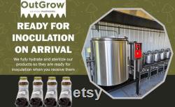 4 Rye Berry Grain Spawn Jars and 4 Manure-Based Substrate Bags Complete Mushroom Growing Kit