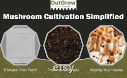 4 Rye Berry Grain Spawn Jars and 4 Manure-Based Substrate Bags Complete Mushroom Growing Kit