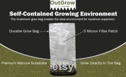 4 Rye Berry Grain Spawn Jars and 4 Manure-Based Substrate Bags Complete Mushroom Growing Kit