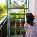 4 Shelf Indoor Outdoor Greenhouse For Flowers Plants Vegetable Portable 4 Shelves With Clear Zipper Cover And Racks