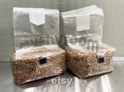 4lb Sterilized Grain Spawn Bags TWO x 2lb bags Biodegradable Rye Berry