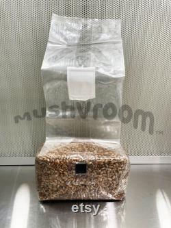 4lb Sterilized Grain Spawn Bags TWO x 2lb bags Biodegradable Rye Berry