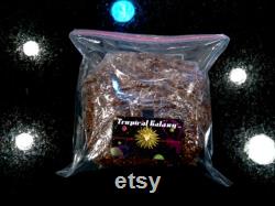 4lb Sterilized Grain for Mushroom Spawn, Inoculation Port Included