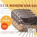 4x 2.5 Lb. Mushroom Grow Bags, All-in-one (aio), With 1 Lb. Organic Rye Berries And 1.5 Lbs. Cvg Great For Dung Lovers Free Shipping