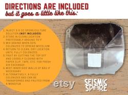 4x 2.5 lb. Mushroom Grow Bags, All-in-One (AIO), with 1 lb. Organic Rye Berries and 1.5 lbs. CVG Great for Dung Lovers FREE Shipping