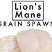 4x Bags Of Lions Mane Grain Spawn 3 Pounds Each 12 Pounds In Total