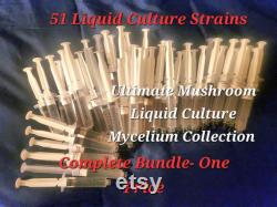 50 Mushroom Liquid Culture Mycelium, 10 ml syringes each