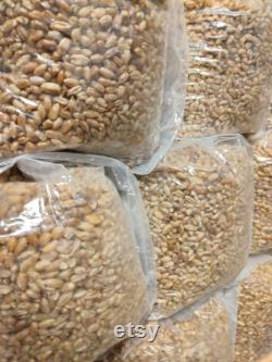 50 bags Sterilized Rye Berry Grains in (3 lbs) View on Storefront