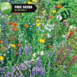 50 x 13CM ( 1 Litre ) Plant Pots ( Recycled and Recyclable ) Wildflower Seeds