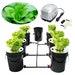 5-gallon Hydroponics Grow 7 Pots System Recirculating Deep Water Culture Dwc Hydroponic Growing System Home Gardening