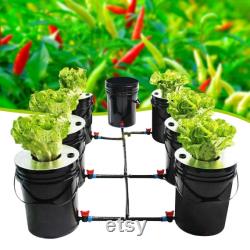 5-Gallon Hydroponics Grow 7 Pots System Recirculating Deep Water Culture DWC Hydroponic Growing System Home Gardening