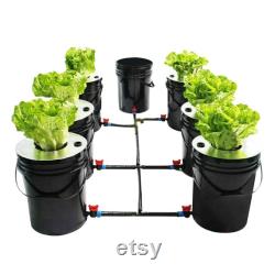 5-Gallon Hydroponics Grow 7 Pots System Recirculating Deep Water Culture DWC Hydroponic Growing System Home Gardening