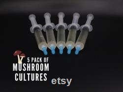 5 Gourmet Mushroom Liquid Cultures FREE SHIPPING 30 Kinds