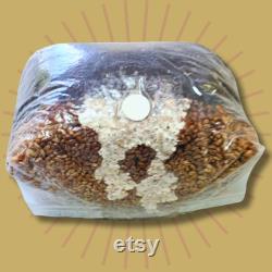 5 LB Sterile Mushroom Grow Bag All In One Grow Kit MAGIC