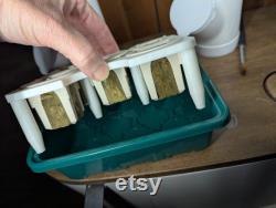 5 Pod Gardyn Nursery Start your seeds outside of the Gardyn system Collapsible for storage