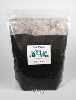 5 Pounds Soluble Kelp Seaweed Powder Root Development Growth Stimulant