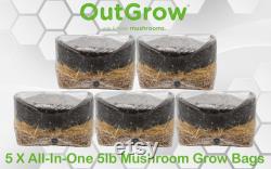 5 X All-In-One 5lb Mushroom Grow Bags