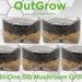 5 X All-in-one 5lb Mushroom Grow Bags