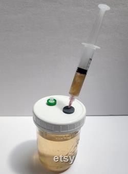 5 ea. Mycology Syringe set. Sterile mycology syringes with sterile needles and lure locks for sterile liquid culture transfers and inoculations.