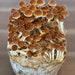 5 X 3lbs (15 Lbs) Sterilized Rye Grain Spawn Bag Grow Bag For Mushroom Cultivation With Injection Port Rye Berry Substrate Organic