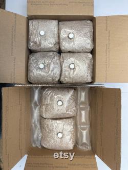 5 x 3lbs (15 lbs) Sterilized Rye Grain Spawn Bag Grow Bag for Mushroom Cultivation With Injection Port Rye Berry Substrate Organic