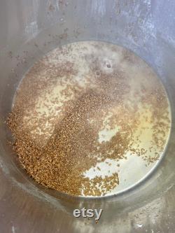 5 x 3lbs (15 lbs) Sterilized Rye Grain Spawn Bag Grow Bag for Mushroom Cultivation With Injection Port Rye Berry Substrate Organic
