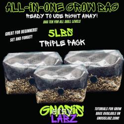 5lbs All in One Mushroom Grow Kit Bag 3 Pack Bundle with Injection Port and Filter Patch Great for Most Cultures