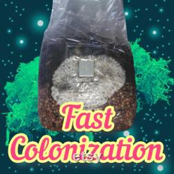 5x 3lb All In One Mushroom Grow Bags, Sterilized Grain, Bulk Substrate, Injection Port All Together