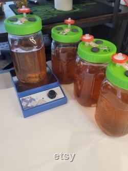 600ml Liquid Culture Jar High-Quality Mushroom Mycelium for Fast and Vigorous Growth
