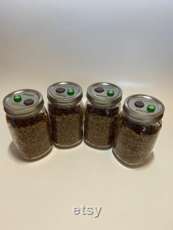60x Self-healing injection port and 0.2micron Syringe filter attached Jar Lids for Mushroom Cultivation (Wide Mouth)