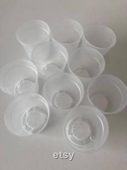6CM Clear Translucent Orchid Pots