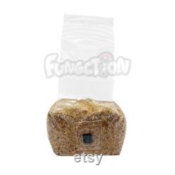 6 Pack Sterilized Millet Grain Spawn Bag with Self-Healing Injection Port (3 lbs) Mushroom Grow Bag FAST Colonization FREE Shipping