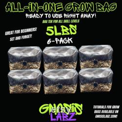 6 Pack of 5lbs All in One Mushroom Grow Kit Bags with Injection Port and Filter Patch Great for Most Cultures