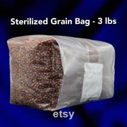 6 x 3 lbs Sterilized Mushroom Grain Spawn for Grow Kit Easy Injection port