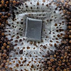 6 x 3 lbs Sterilized Mushroom Grain Spawn for Grow Kit Easy Injection port