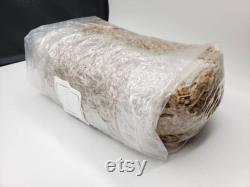 6 x 4LB. Rye Grain Spawn Bags -Sterilized, Hydrated and Ready-to-use (BEST VALUE)