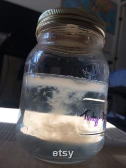 6x500ml Liquid Culture Grain Jar AirPort Lids, for Making Strile Culture in Home Mycology