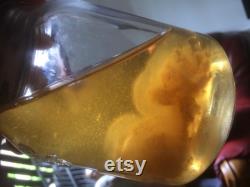 6x500ml Liquid Culture Grain Jar AirPort Lids, for Making Strile Culture in Home Mycology
