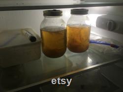 6x500ml Liquid Culture Grain Jar AirPort Lids, for Making Strile Culture in Home Mycology
