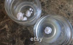 6x500ml Liquid Culture Grain Jar AirPort Lids, for Making Strile Culture in Home Mycology
