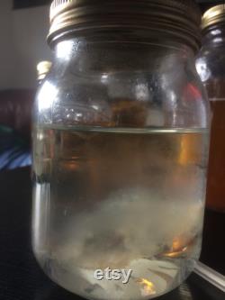 6x500ml Liquid Culture Grain Jar AirPort Lids, for Making Strile Culture in Home Mycology