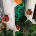 6x Ladybug Algae Blockers For Gardyn Decorative Split Top Pod Toppers (3 Sizes)
