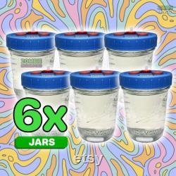 6x Liquid Culture Jar Mushroom Liquid Culture Solution Wide Mouth
