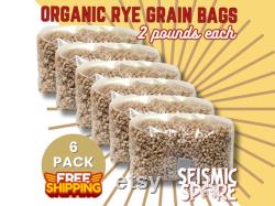 6x Sterilized Grain Spawn Bag, Rye Berry Substrate Grow Bag for Mushroom Cultivation with Injection Port, 2 lbs.